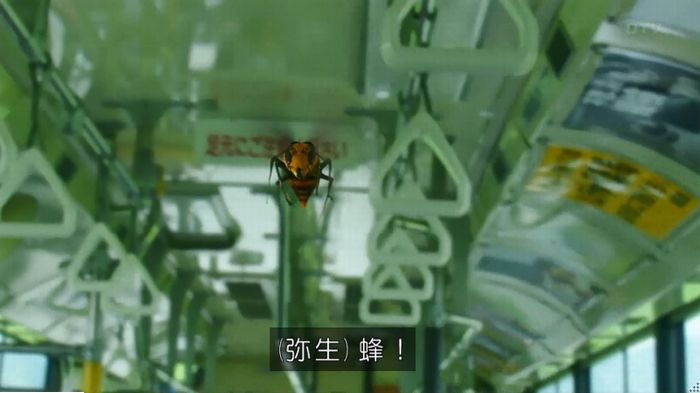 警視庁いきもの係 9話のキャプ38