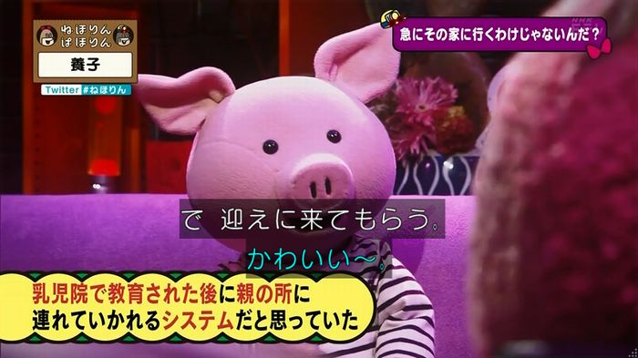 ねほりん 養子回のキャプ70