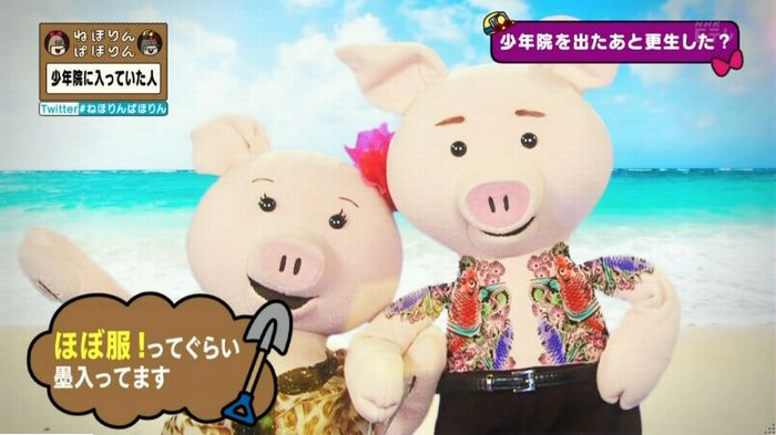 ねほりんぱほりんのキャプ234