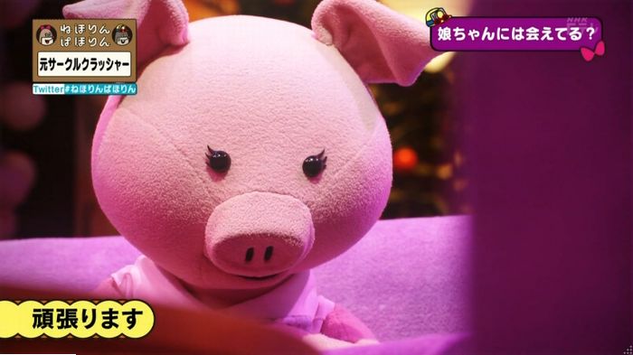 ねほりんぱほりん サークルクラッシャーのキャプ490