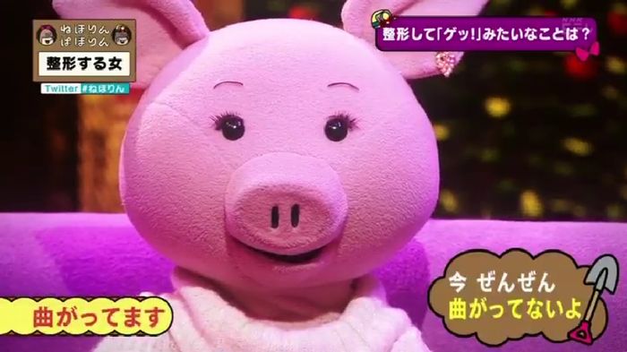 ねほりんぱほりんのキャプ316
