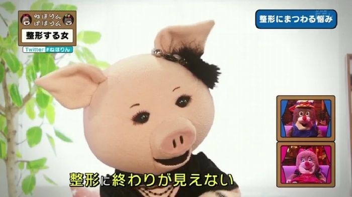 ねほりんぱほりんのキャプ377