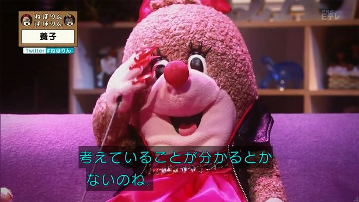 ねほりん 養子回のキャプ274