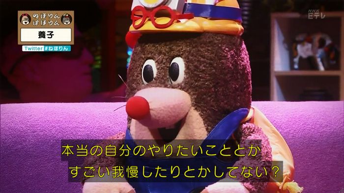 ねほりん 養子回のキャプ364