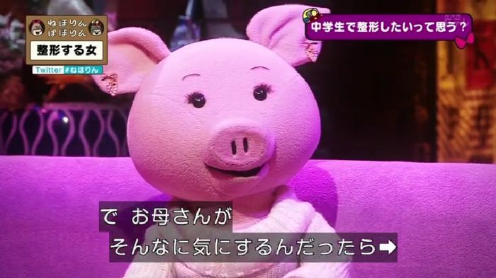 ねほりんぱほりんのキャプ100