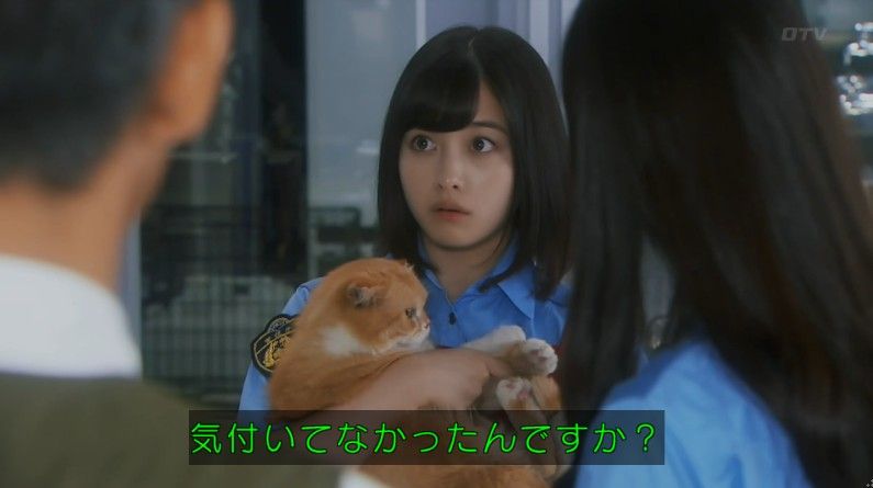 いきもの係 4話のキャプ862