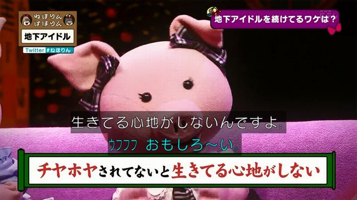 ねほりん 地下アイドル後編のキャプ433
