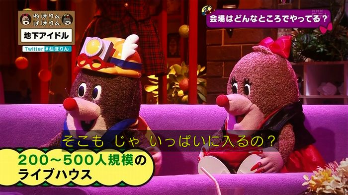 ねほりん 地下アイドル回のキャプ62