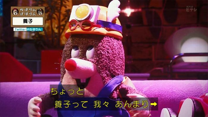 ねほりん 養子回のキャプ15