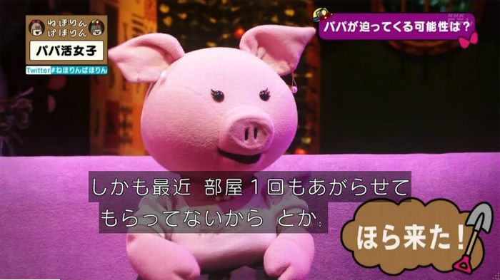 ねほりんぱほりんのキャプ378