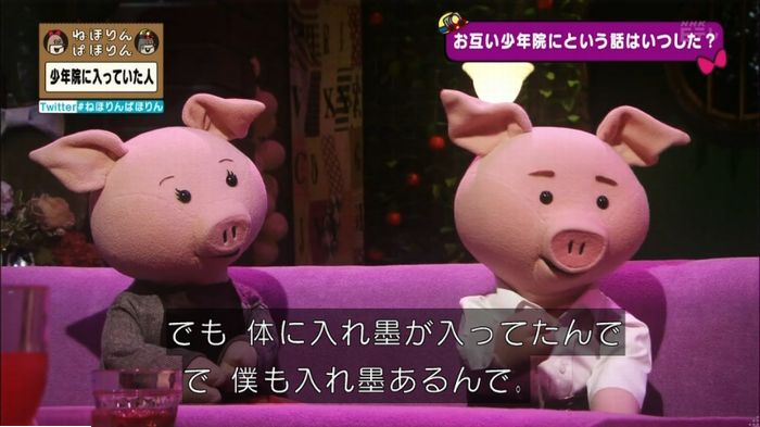 ねほりんぱほりんのキャプ236