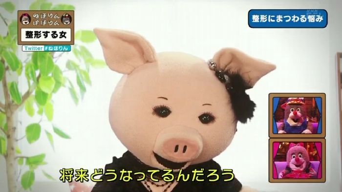 ねほりんぱほりんのキャプ378