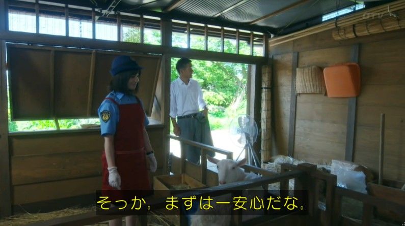 いきもの係 4話のキャプ252