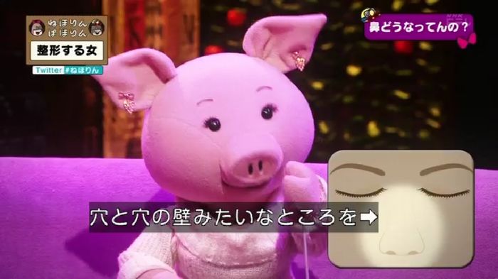 ねほりんぱほりんのキャプ51