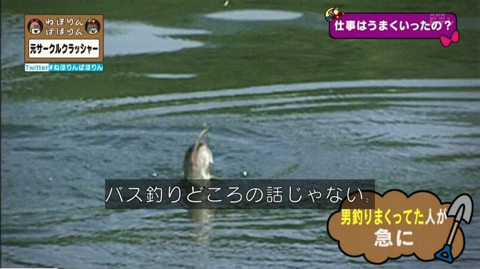 ねほりんぱほりん サークルクラッシャーのキャプ379