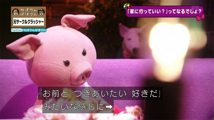 ねほりんぱほりん サークルクラッシャーのキャプ206
