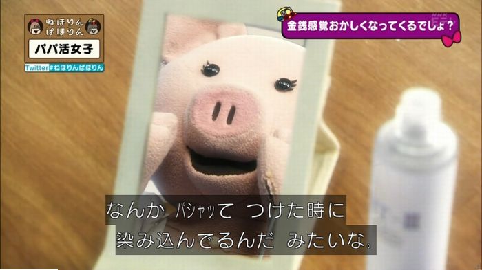 ねほりんぱほりんのキャプ220