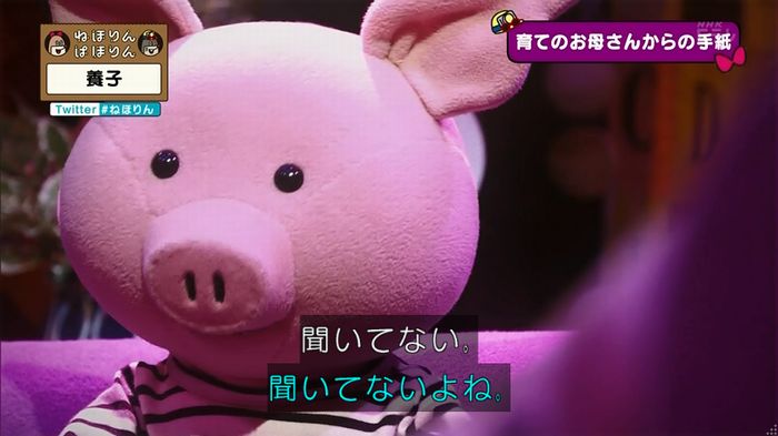 ねほりん 養子回のキャプ382