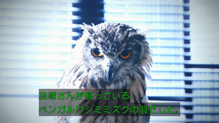 警視庁いきもの係 8話のキャプ729