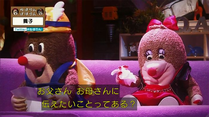 ねほりん 養子回のキャプ438