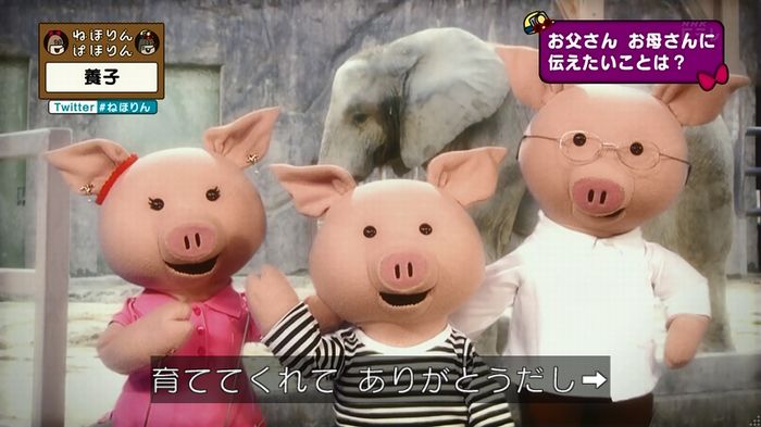 ねほりん 養子回のキャプ443