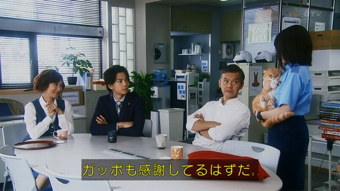 警視庁いきもの係 8話のキャプ822