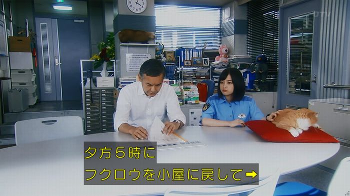 警視庁いきもの係 8話のキャプ539