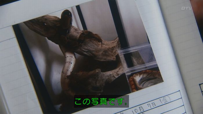 いきもの係 3話のキャプ243