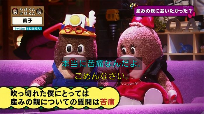 ねほりん 養子回のキャプ291