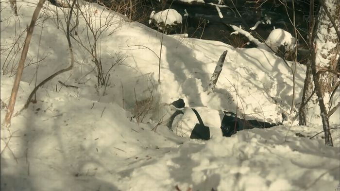 カルテット 7話のキャプ30