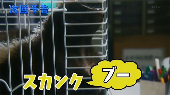 いきもの係 3話のキャプ835