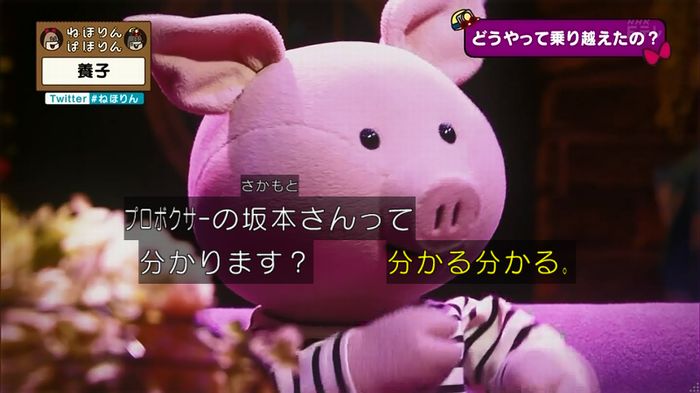 ねほりん 養子回のキャプ253