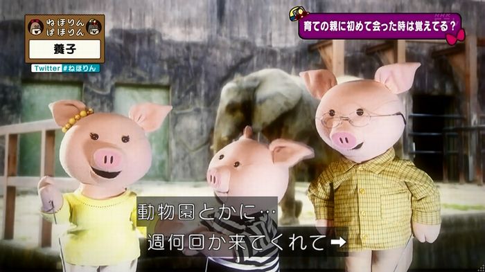 ねほりん 養子回のキャプ57