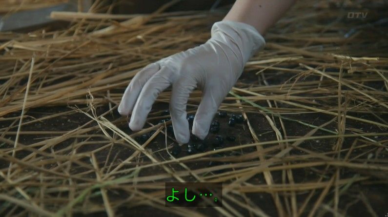 いきもの係 4話のキャプ245