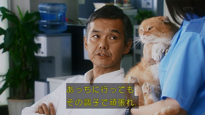 警視庁いきもの係 8話のキャプ824