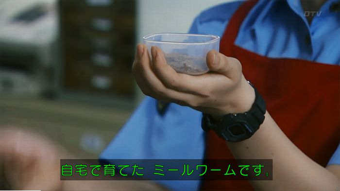警視庁いきもの係 9話のキャプ155