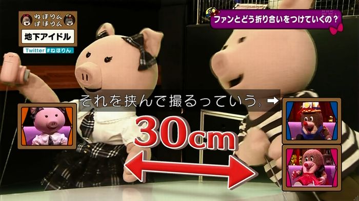 ねほりん 地下アイドル後編のキャプ260