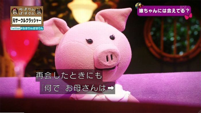 ねほりんぱほりん サークルクラッシャーのキャプ469