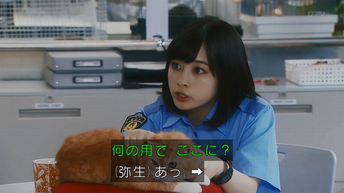 いきもの係 3話のキャプ134