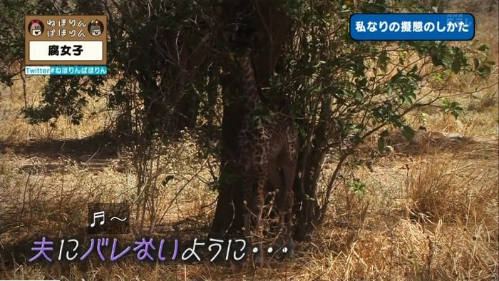 ねほりん腐女子回のキャプ345