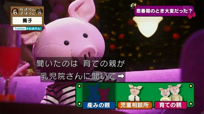 ねほりん 養子回のキャプ243