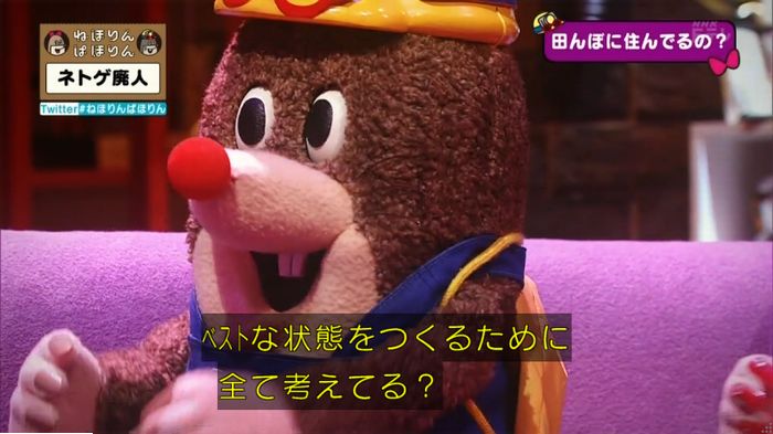 ねほりんネトゲ廃人のキャプ136