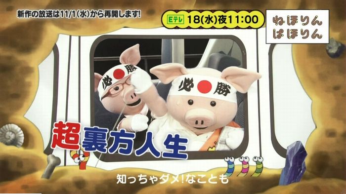 ねほりんぱほりん サークルクラッシャーのキャプ520