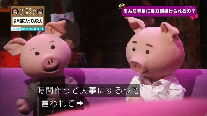 ねほりんぱほりんのキャプ284