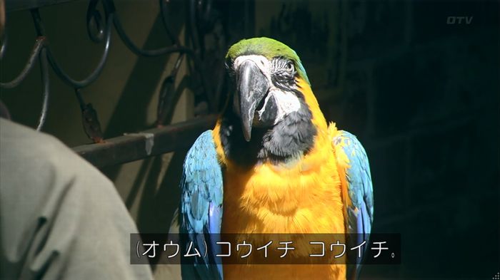 嘘の戦争のキャプ206