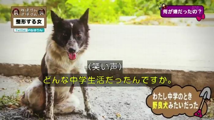 ねほりんぱほりんのキャプ218