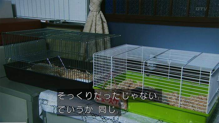警視庁いきもの係 9話のキャプ441