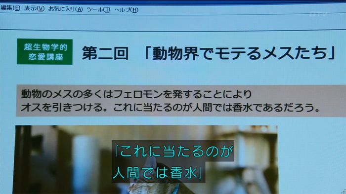 人は見た目が100パーセントのキャプ447