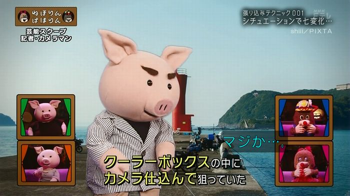 ねほりん 芸能スクープ回のキャプ161