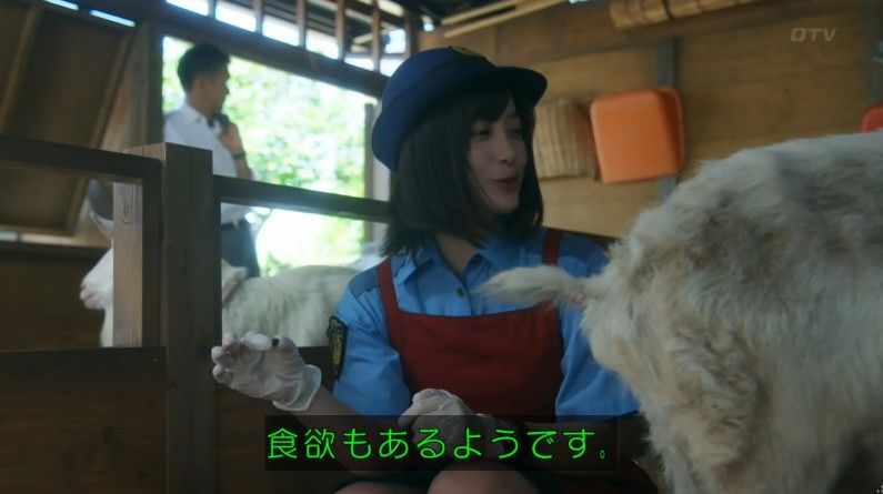 いきもの係 4話のキャプ247